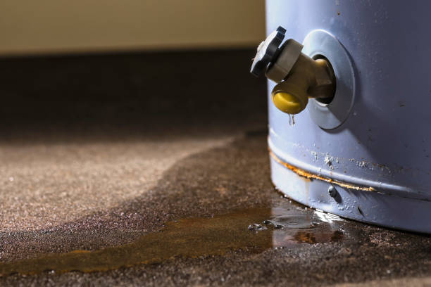 Best Ceiling water damage repair  in Newport, DE