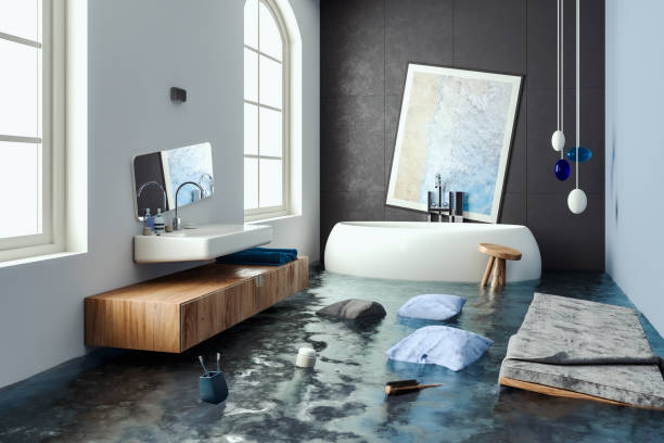 Best Water damage cleanup near me  in Newport, DE