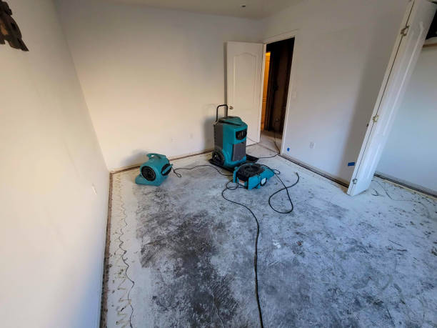 Best Mold removal after water damage  in Newport, DE