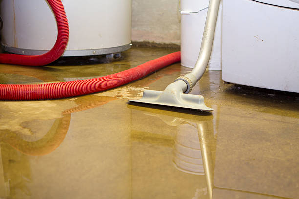 Best Sewage cleanup and water damage restoration  in Newport, DE