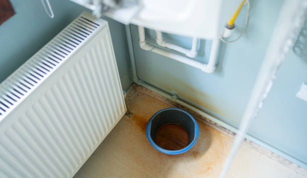 Water damage restoration mold remediation in DE