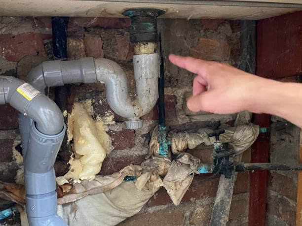 Best Flood restoration services  in Newport, DE
