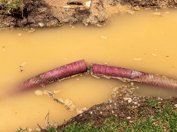 Best Carpet water damage restoration  in Newport, DE