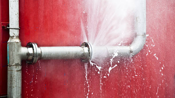 Best Water damage contractors near me  in Newport, DE